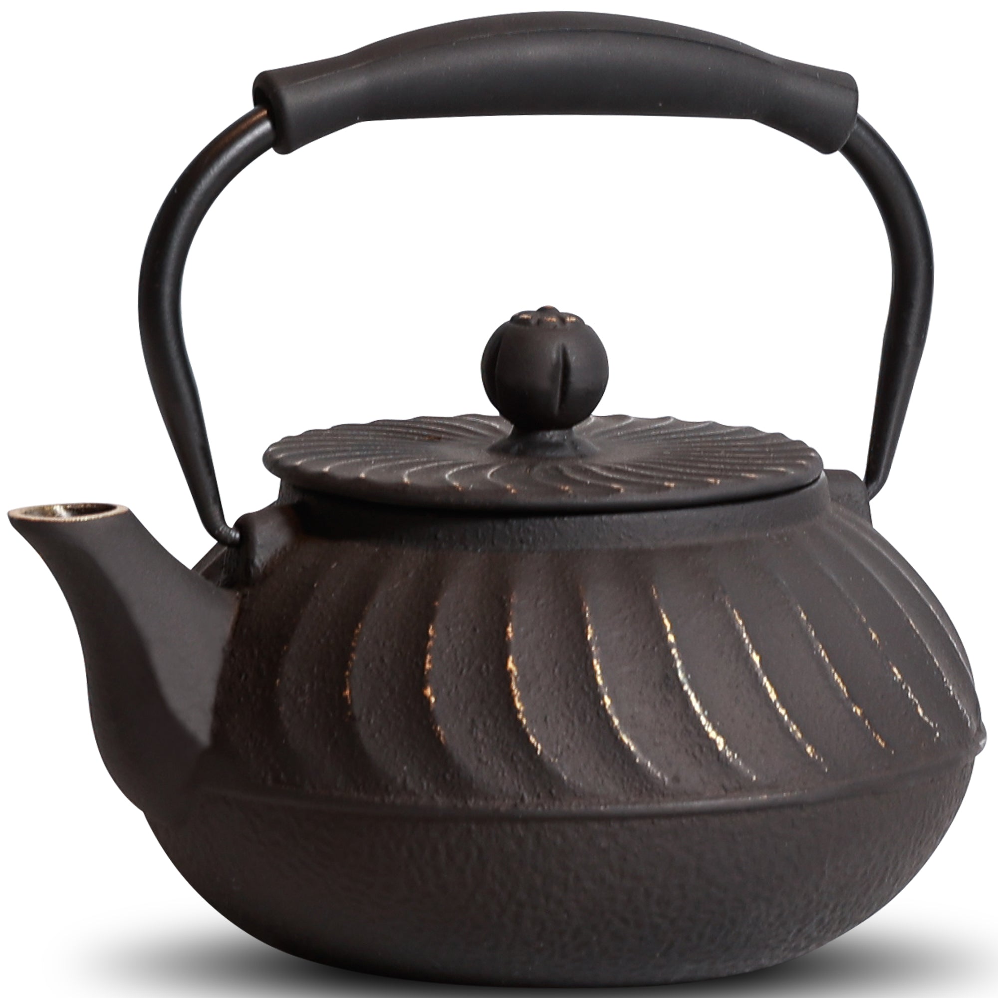 24oz Traditional Japanese Cast Iron Teapot