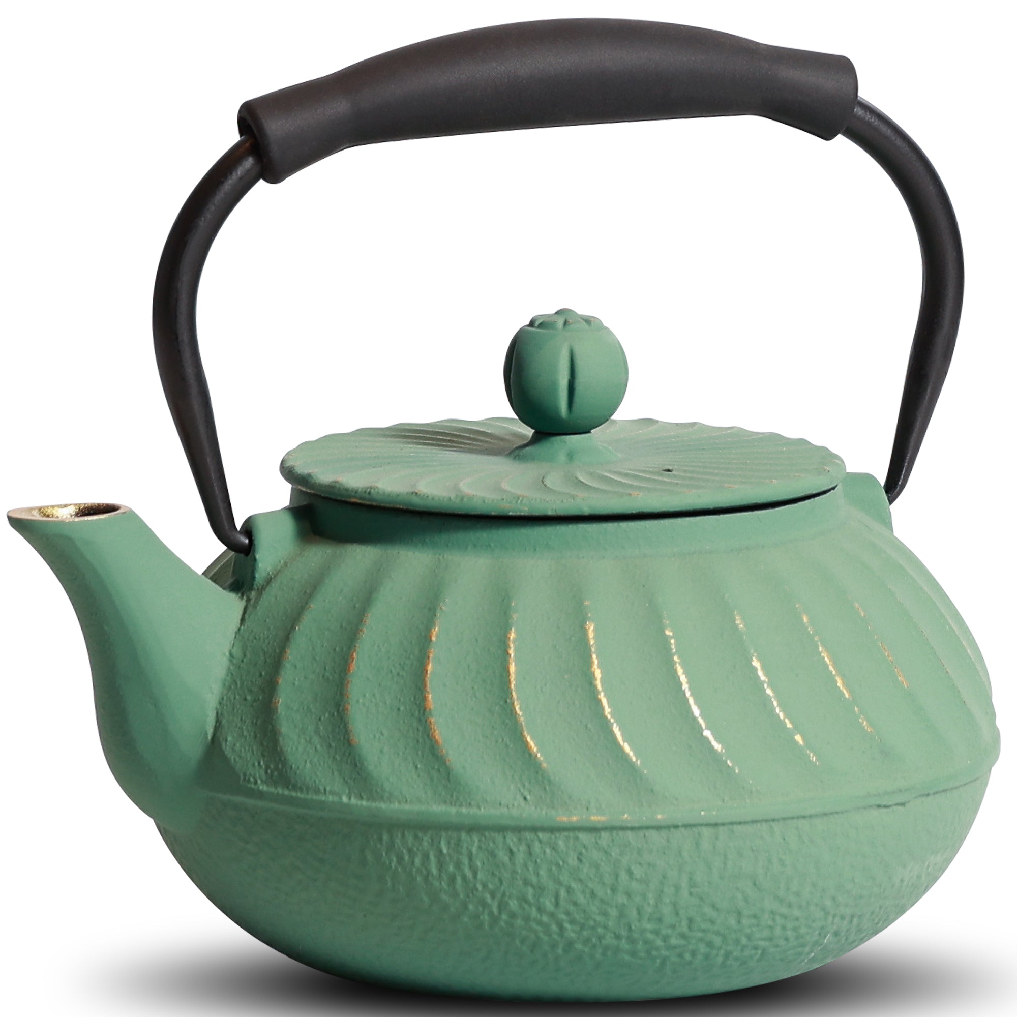24oz Traditional Japanese Cast Iron Teapot