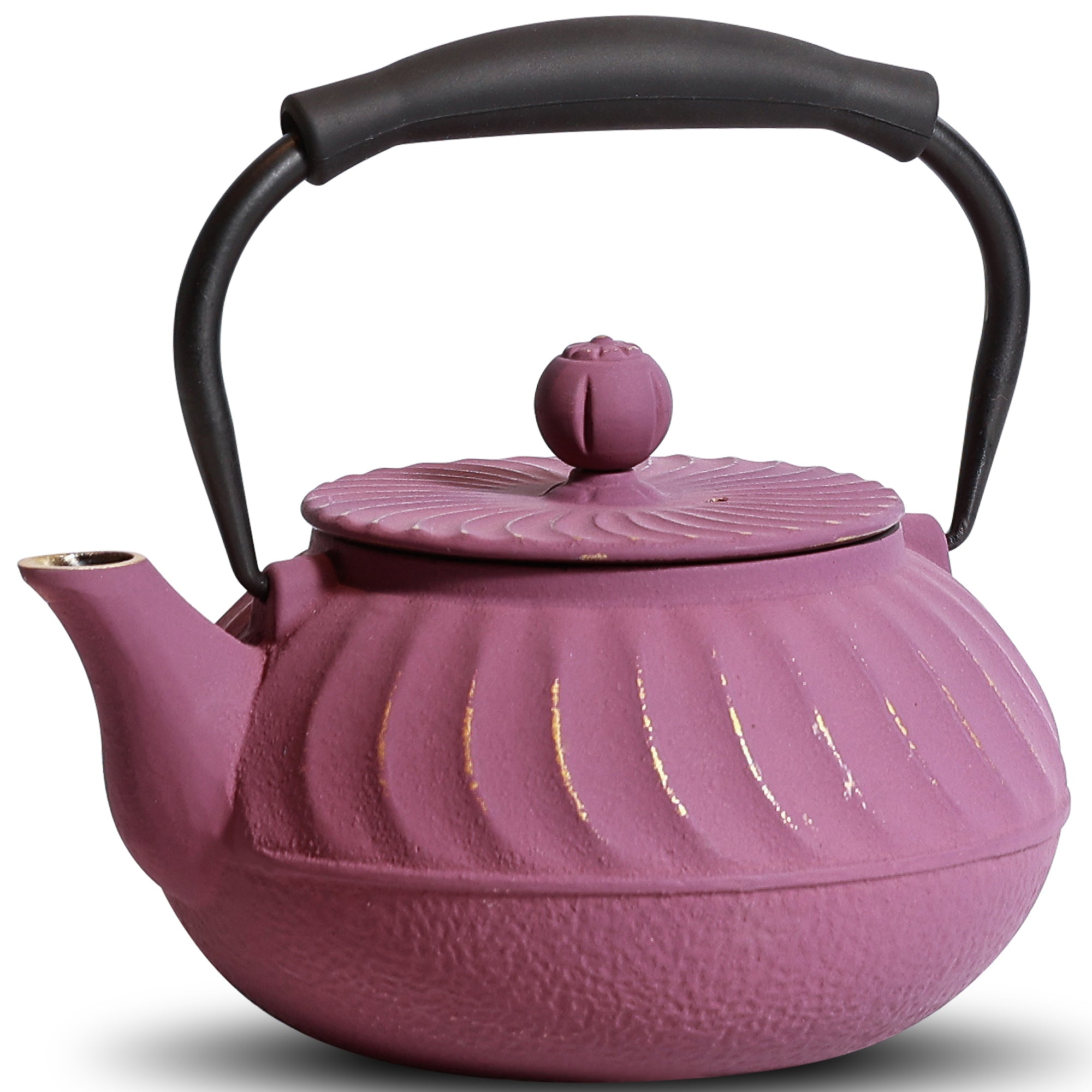 24oz Traditional Japanese Cast Iron Teapot