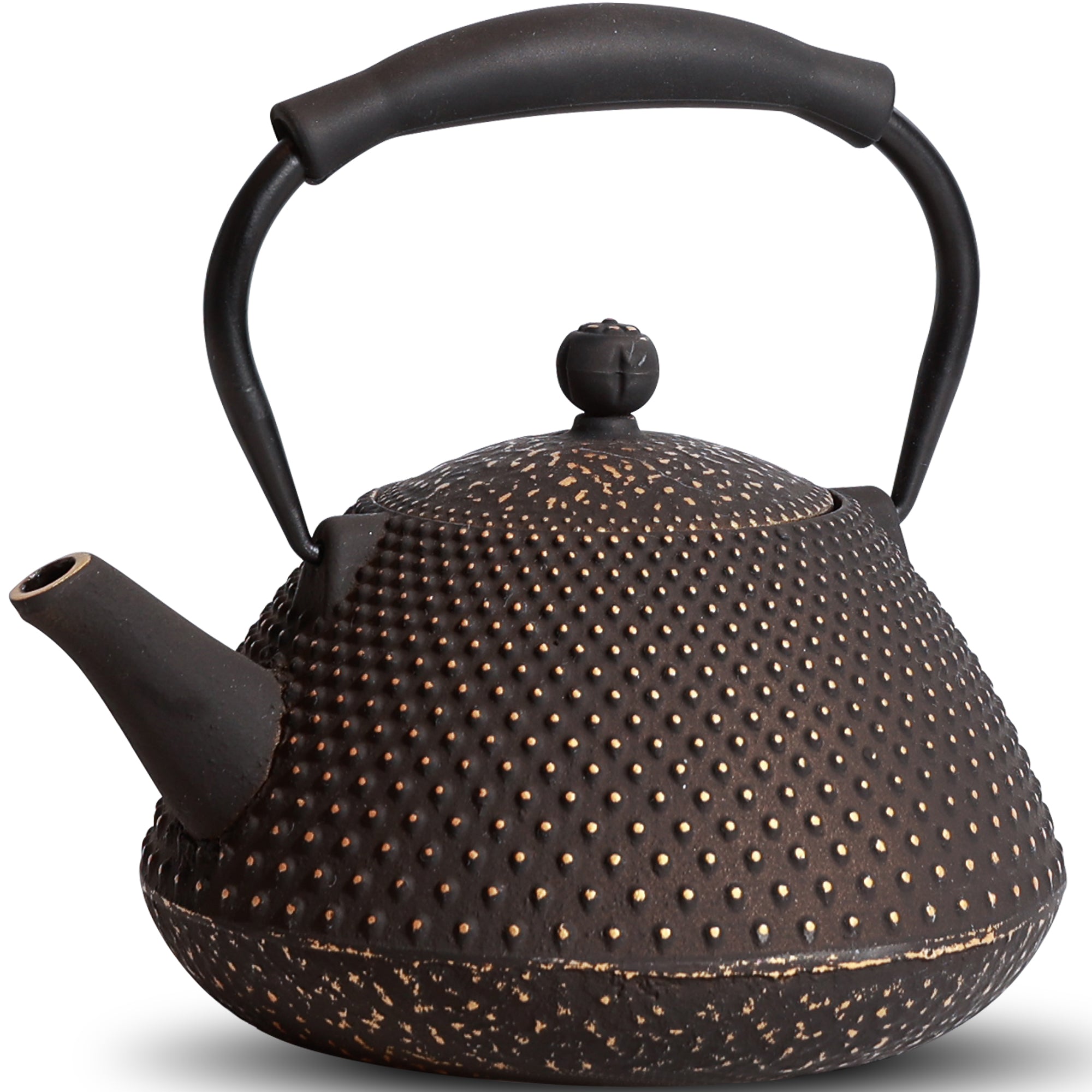 Traditional Japanese Cast Iron Teapot