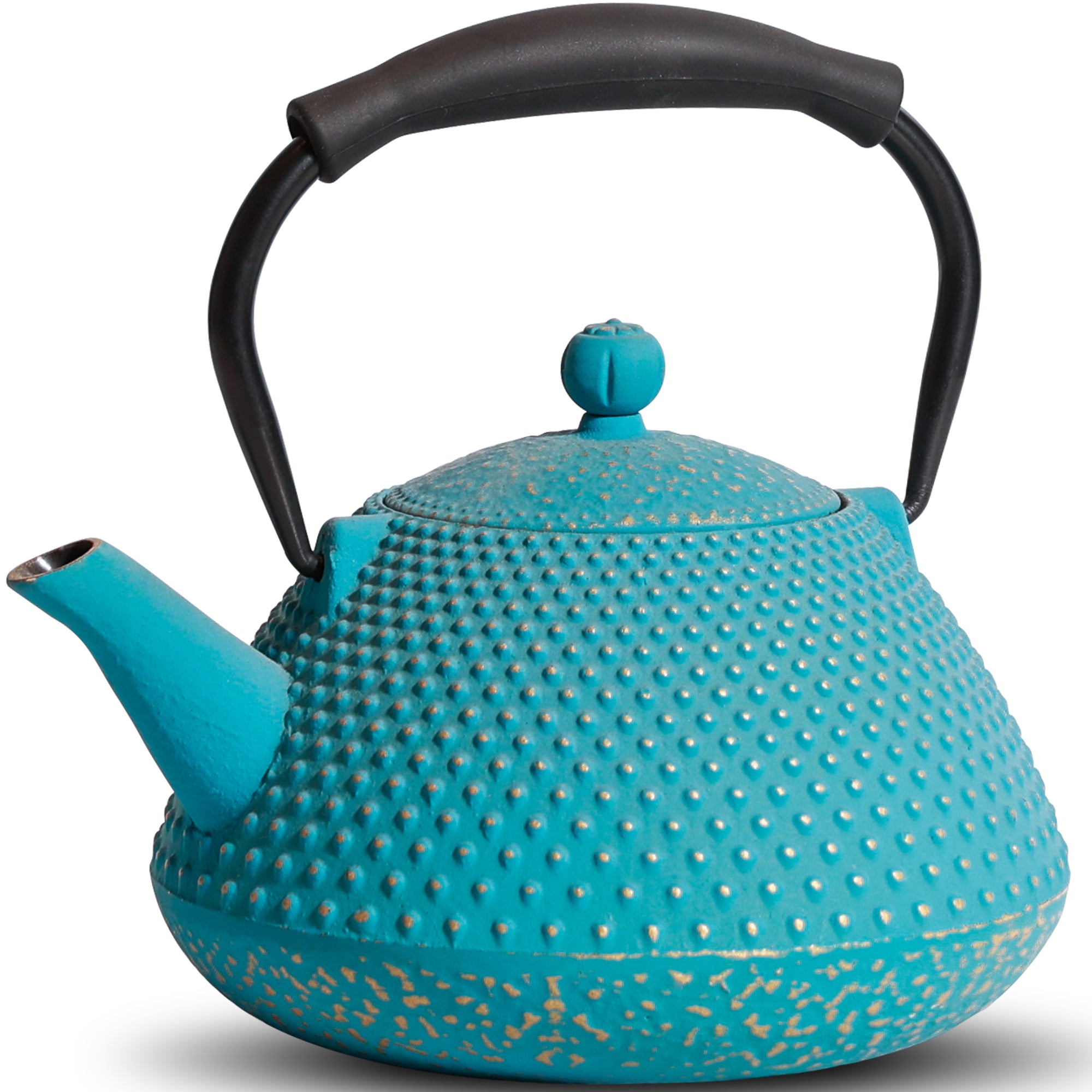 Traditional Japanese Cast Iron Teapot