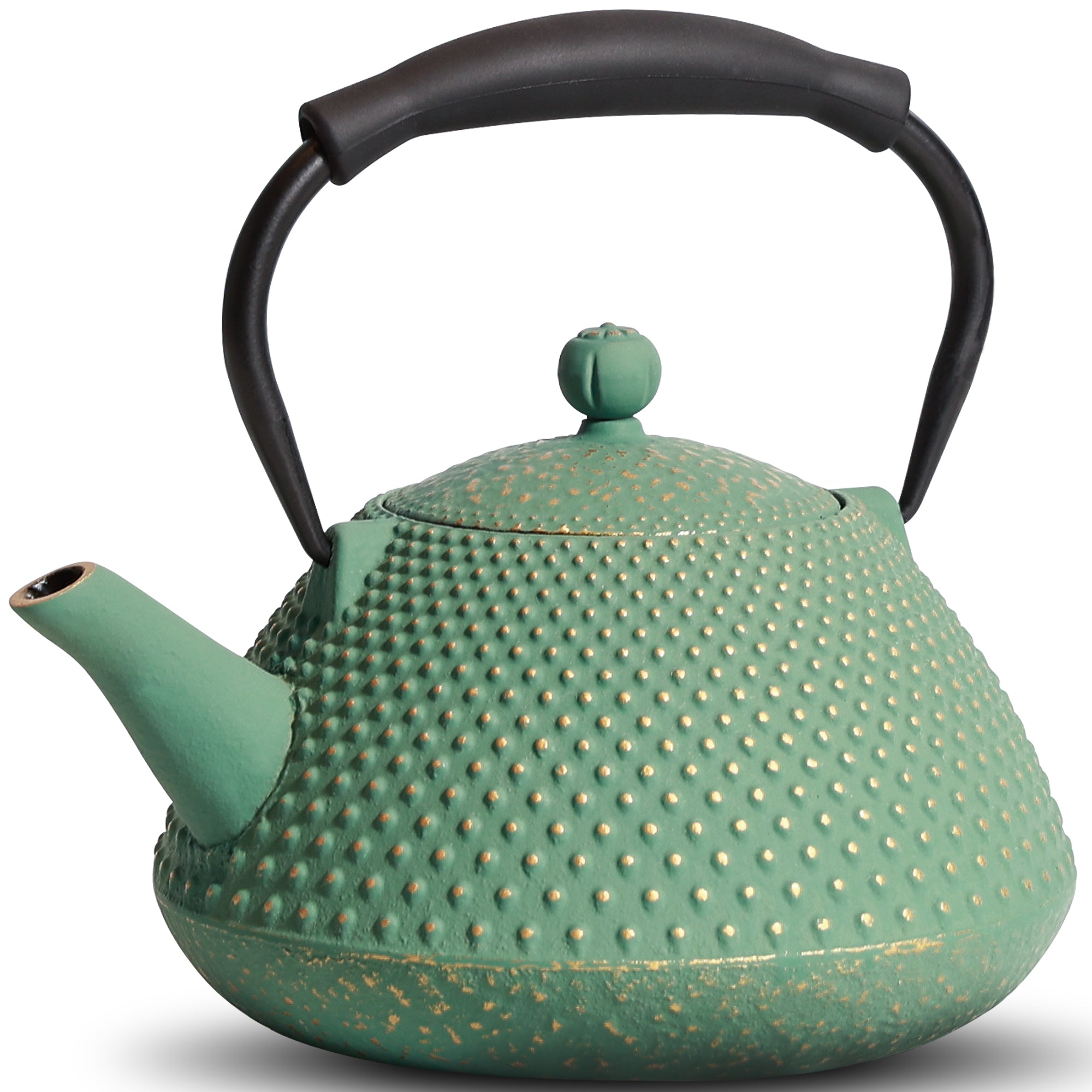 Traditional Japanese Cast Iron Teapot
